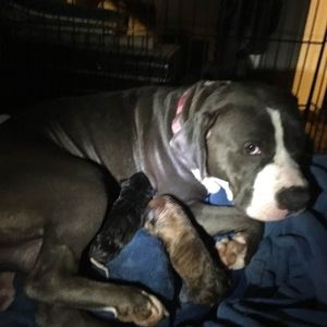 Meet your Posher, Jeff